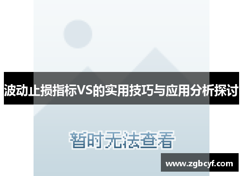 波动止损指标VS的实用技巧与应用分析探讨