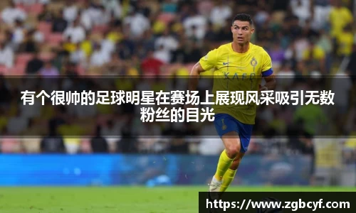 有个很帅的足球明星在赛场上展现风采吸引无数粉丝的目光